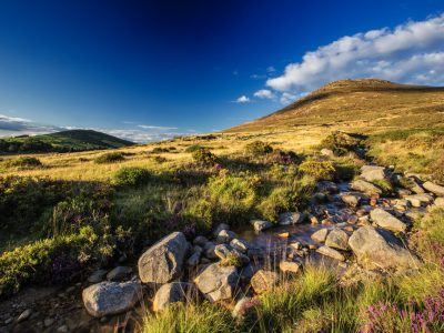 Ierland - Mourne Mountains groot