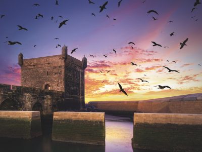 Morocco - Essaouira groot